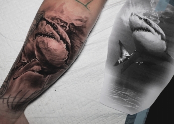 Hai-Shark-Tattoo