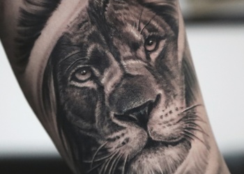 Löwe-lion-king-kreuz-cross-tattoo